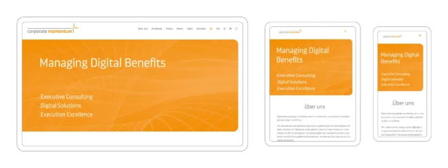 responsives webdesign für desktop, tablet und smartphone mit suchmaschinenoptimierten texten und bildern, projekt für it consulting unternehmen